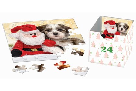 Christmas Paws :: Eurographics