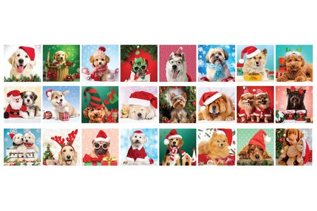 Christmas Paws :: Eurographics