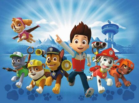 Het Team van Paw Patrol :: Ravensburger