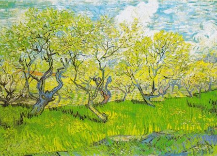 Orchard in Blossom :: Vincent van Gogh