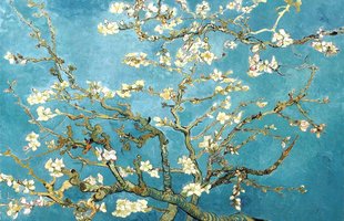 Eurographics 1000 - Van Gogh: Almond Blossom